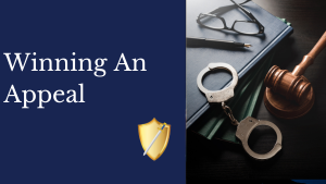 Winning a Texas state or federal criminal appeal
