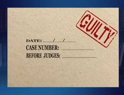 What happens if I plead guilty to a criminal offense?